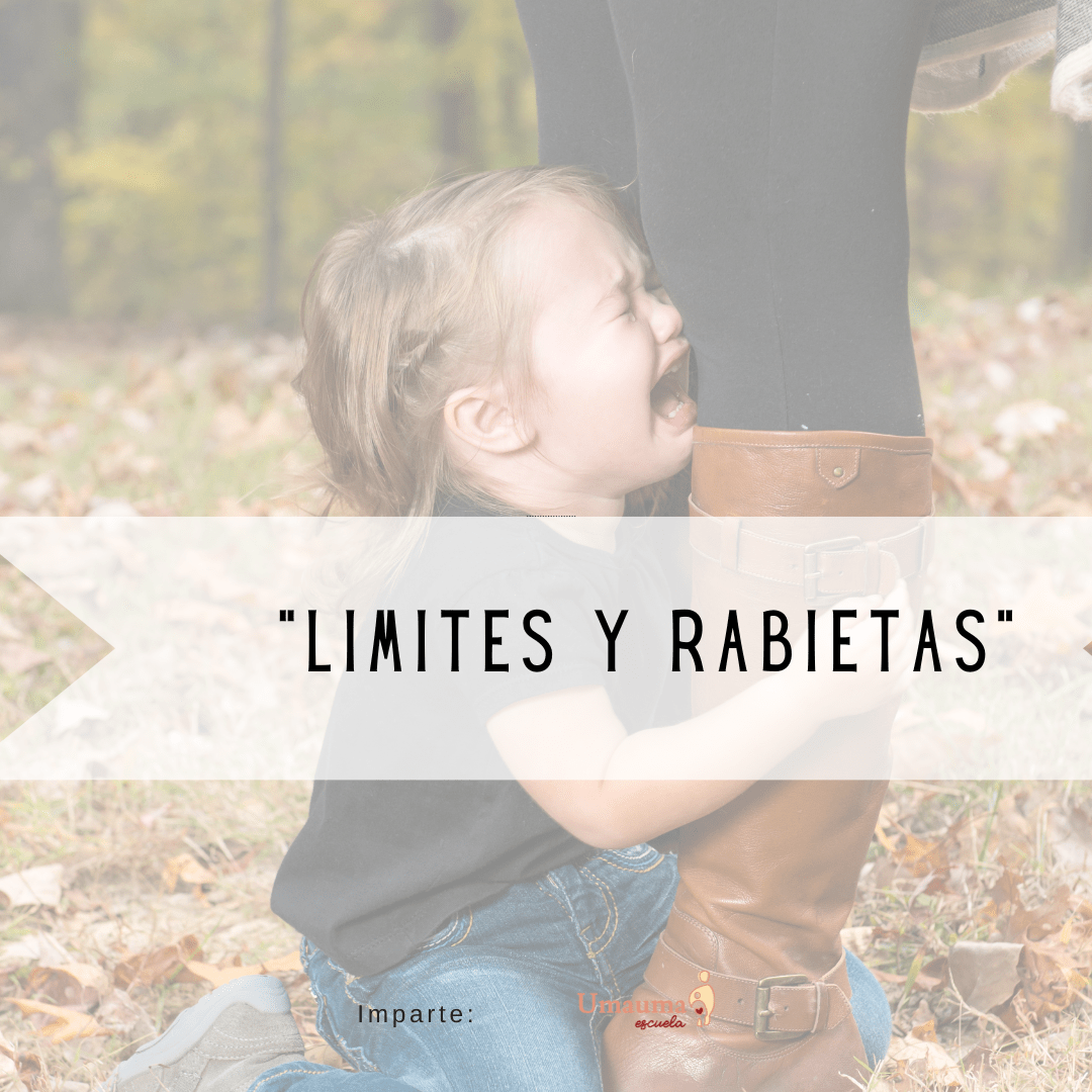 TALLER limites y rabietas (1080 × 1080 px)