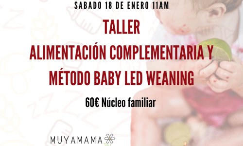 Taller presencial Valladolid ENERO: Alimentación complementaria y método BLW